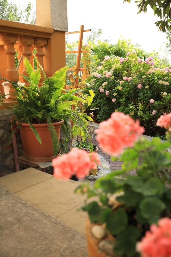 Apartmani Sarlija Pakoštane Exterior foto